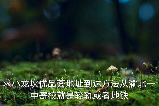 求小龙坎优品荟地址到达方法从渝北一中寄校就是轻轨或者地铁