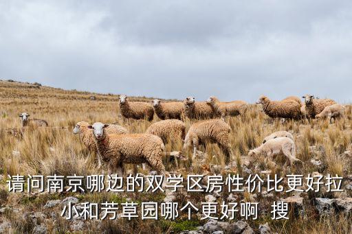 请问南京哪边的双学区房性价比更好拉小和芳草园哪个更好啊  搜