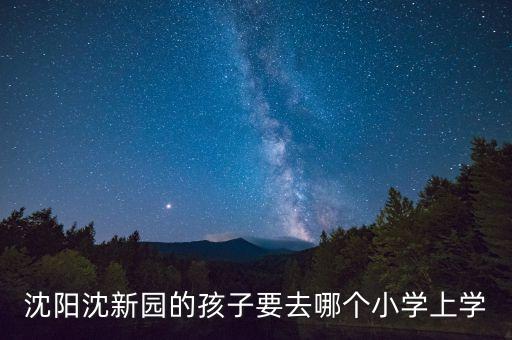沈新园是哪个学区房，沈阳小学初中学区房都有哪些小区最好能给出指导售房价格