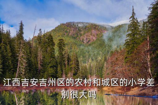 江西吉安吉州区的农村和城区的小学差别很大吗