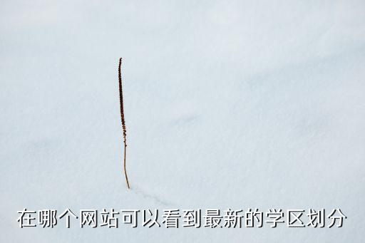 在哪个网站可以看到最新的学区划分