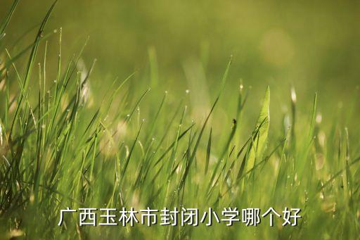 广西玉林市封闭小学哪个好