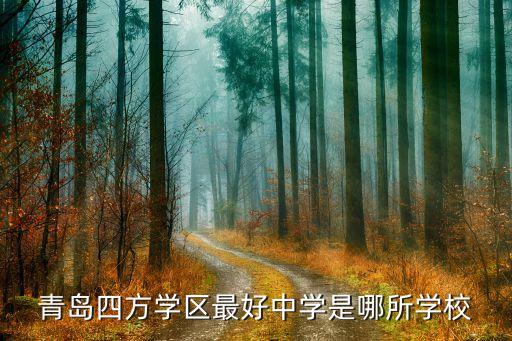 青岛四方学区最好中学是哪所学校