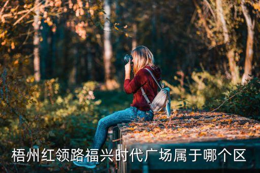 梧州红领路福兴时代广场属于哪个区