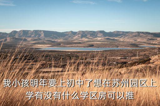 苏锡中学区房哪个小区好，我小孩明年要上初中了想在苏州园区上学有没有什么学区房可以推