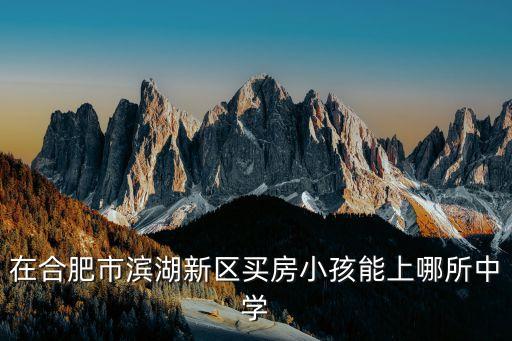 在合肥市滨湖新区买房小孩能上哪所中学