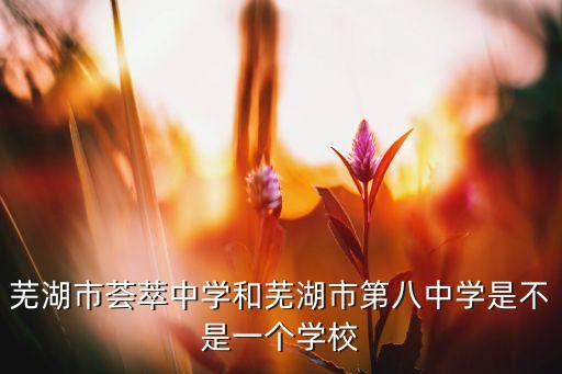 芜湖市荟萃中学和芜湖市第八中学是不是一个学校