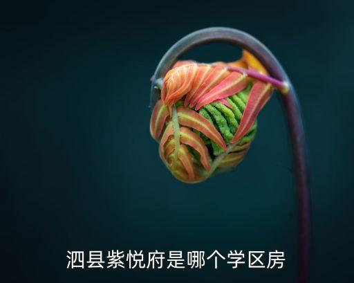 泗县紫悦府是哪个学区房
