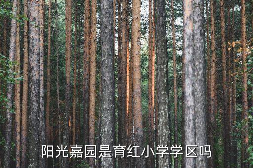 阳光嘉园是育红小学学区吗
