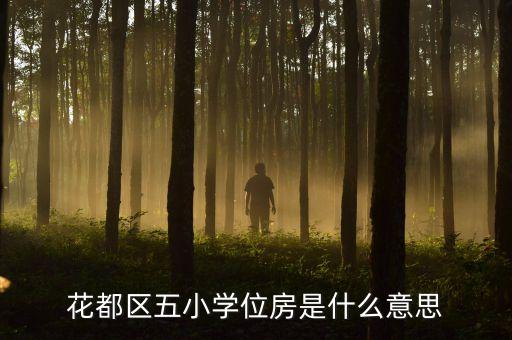 花都区五小学位房是什么意思