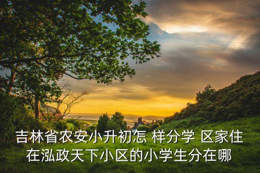 吉林省农安小升初怎 样分学 区家住在泓政天下小区的小学生分在哪