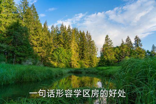 一句话形容学区房的好处