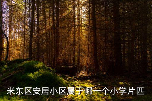 安居苑是哪个小学的学区房，米东区安居小区属于哪一个小学片匹