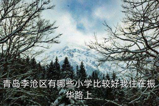 青岛李沧区有哪些小学比较好我住在振华路上