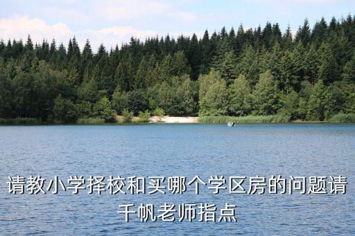 请教小学择校和买哪个学区房的问题请千帆老师指点