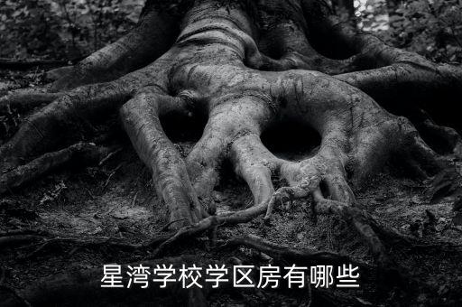 星湾学校学区房有哪些