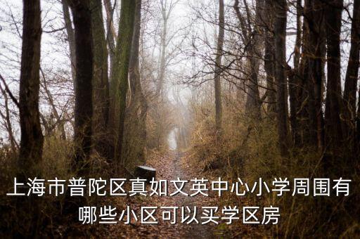 上海哪个楼盘是学区房，在哪些小区能买到上海市黄浦区第一中心小学的学区房