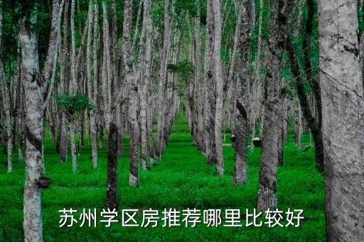 苏州学区房推荐哪里比较好