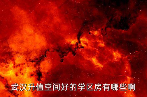 武汉升值空间好的学区房有哪些啊