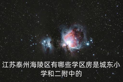 江苏泰州海陵区有哪些学区房是城东小学和二附中的