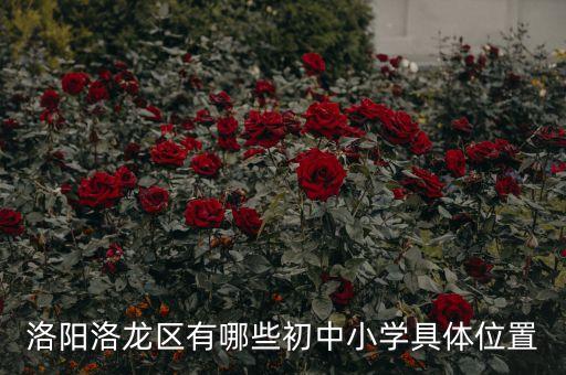 洛阳洛龙区有哪些学区房，洛阳市拖二中学区都包括哪些街坊