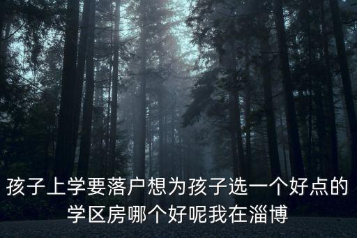 孩子上学要落户想为孩子选一个好点的学区房哪个好呢我在淄博