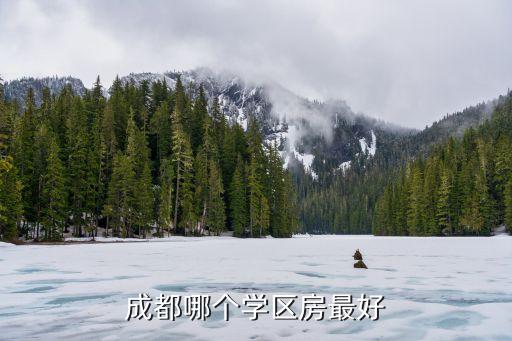 成都哪个学区房最好