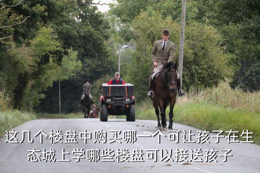 这几个楼盘中购买哪一个可让孩子在生态城上学哪些楼盘可以接送孩子