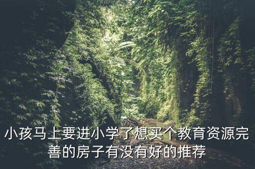 小孩马上要进小学了想买个教育资源完善的房子有没有好的推荐