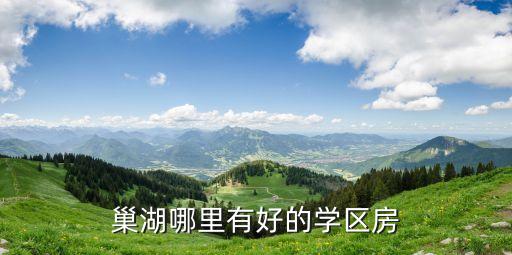 巢湖哪里有好的学区房