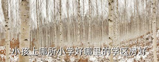 小孩上哪所小学好哪里的学区房好