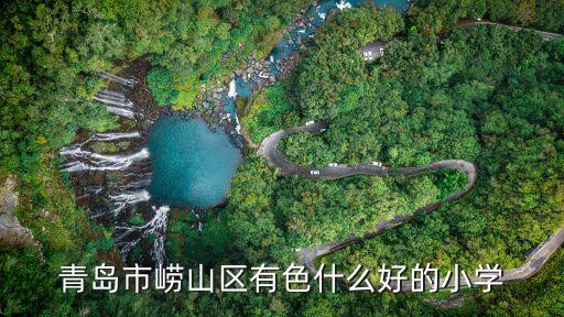 青岛市崂山区有色什么好的小学