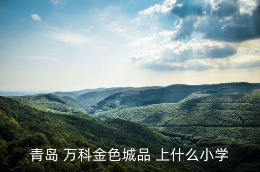 青岛 万科金色城品 上什么小学