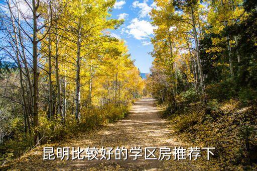 昆明比较好的学区房推荐下