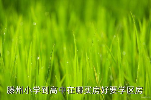 滕卅学区房有哪些，滕州小学到高中在哪买房好要学区房