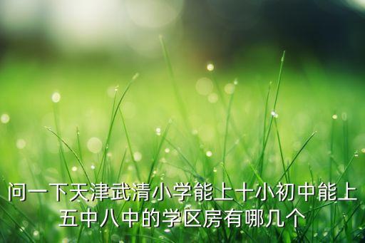 问一下天津武清小学能上十小初中能上五中八中的学区房有哪几个