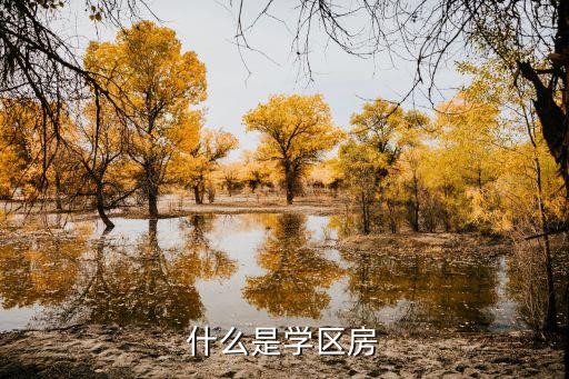 兰考丽景苑是哪个学区房，贺兰学区房怎样划分的