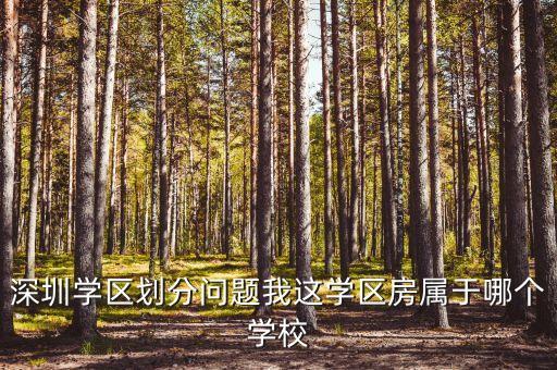 深圳学区划分问题我这学区房属于哪个学校