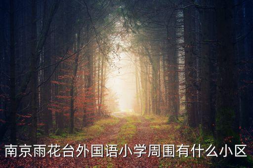 南京雨花台外国语小学周围有什么小区