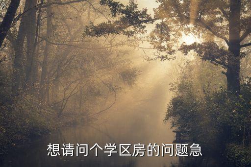 想请问个学区房的问题急
