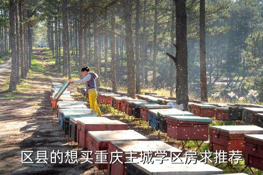 区县的想买重庆主城学区房求推荐