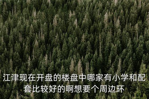 江津现在开盘的楼盘中哪家有小学和配套比较好的啊想要个周边环