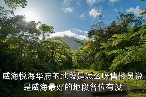 威海悦海华府的地段是怎么呀售楼员说是威海最好的地段各位有没
