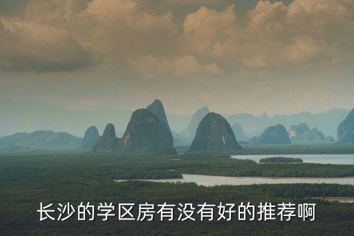 长沙的学区房有没有好的推荐啊
