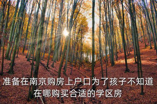 准备在南京购房上户口为了孩子不知道在哪购买合适的学区房