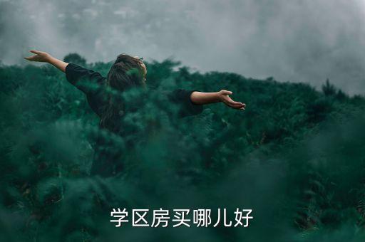 学区房买哪儿好