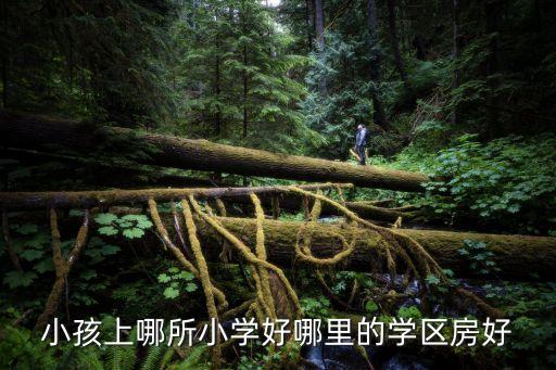 小孩上哪所小学好哪里的学区房好