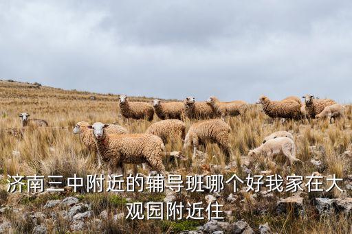 济南三中附近的辅导班哪个好我家在大观园附近住