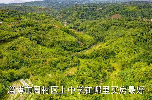 淄博市周村区上中学在哪里买房最好