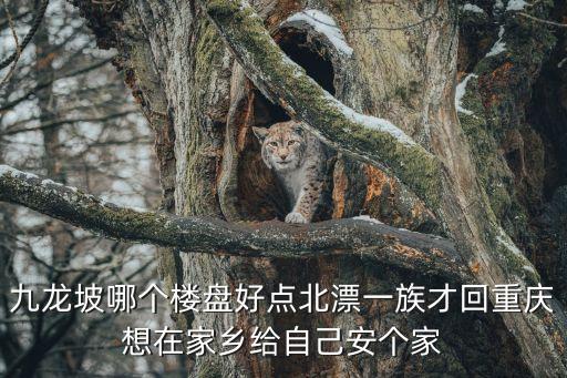 杨家坪哪个学区房好，跪求九龙坡最好学区房只要有就读名额我愿多付500元平